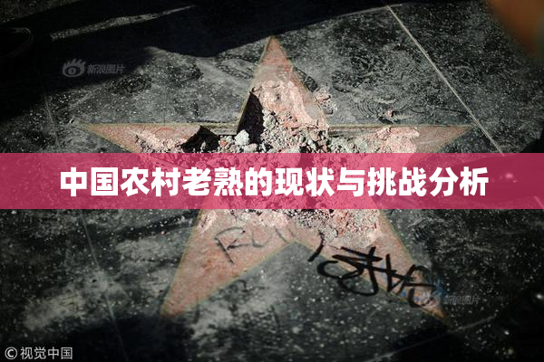 中国农村老熟的现状与挑战分析