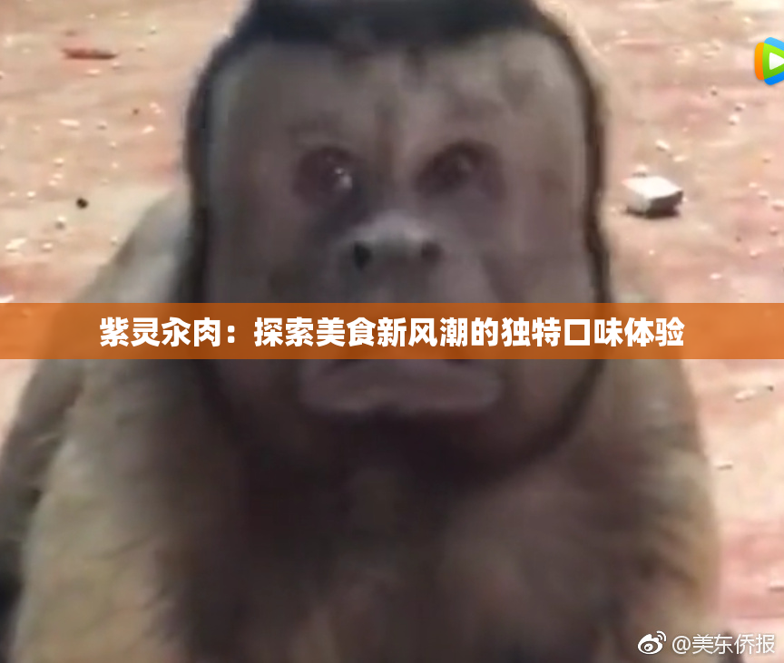 紫灵汆肉：探索美食新风潮的独特口味体验