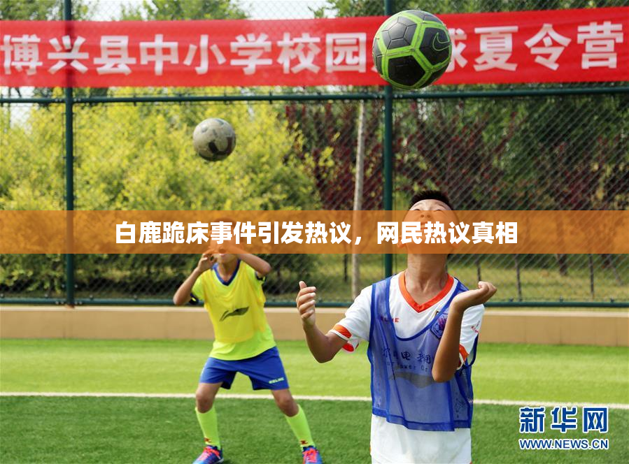 白鹿跪床事件引发热议，网民热议真相
