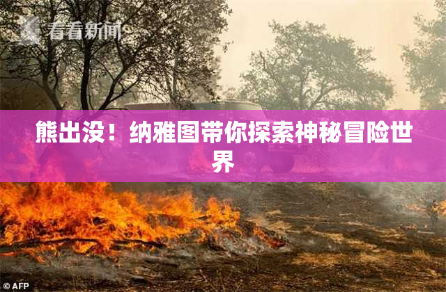 熊出没！纳雅图带你探索神秘冒险世界