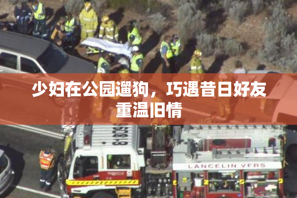 少妇在公园遛狗，巧遇昔日好友重温旧情
