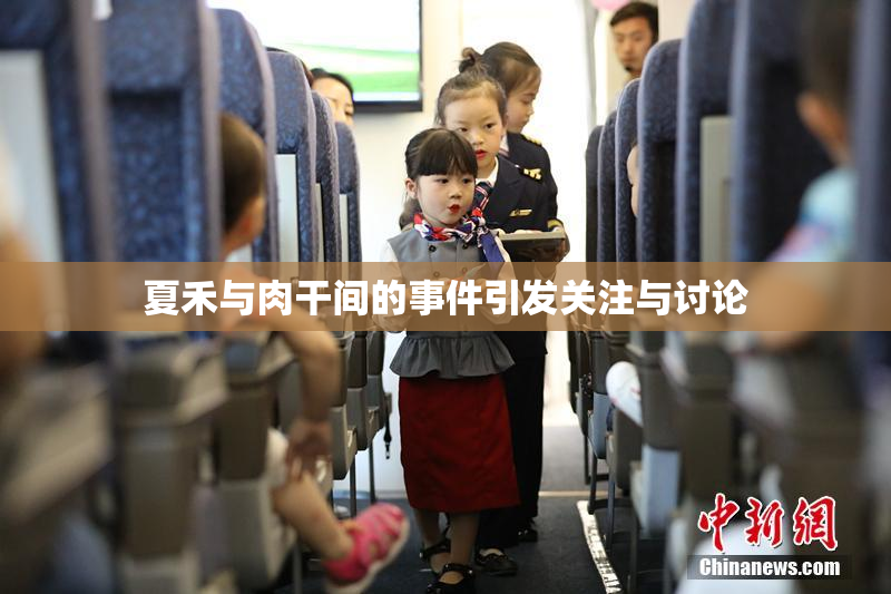 夏禾与肉干间的事件引发关注与讨论