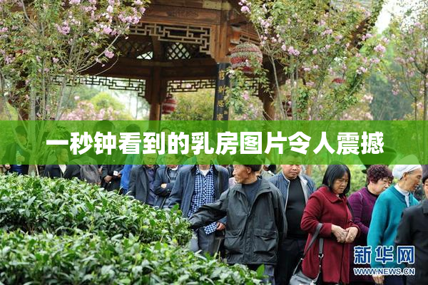 一秒钟看到的乳房图片令人震撼