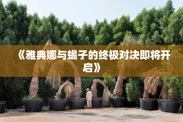 《雅典娜与蝎子的终极对决即将开启》
