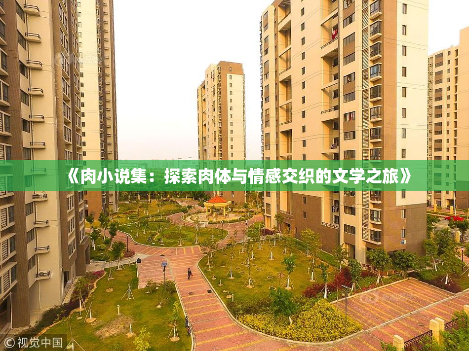 《肉小说集：探索肉体与情感交织的文学之旅》