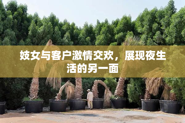 妓女与客户激情交欢，展现夜生活的另一面