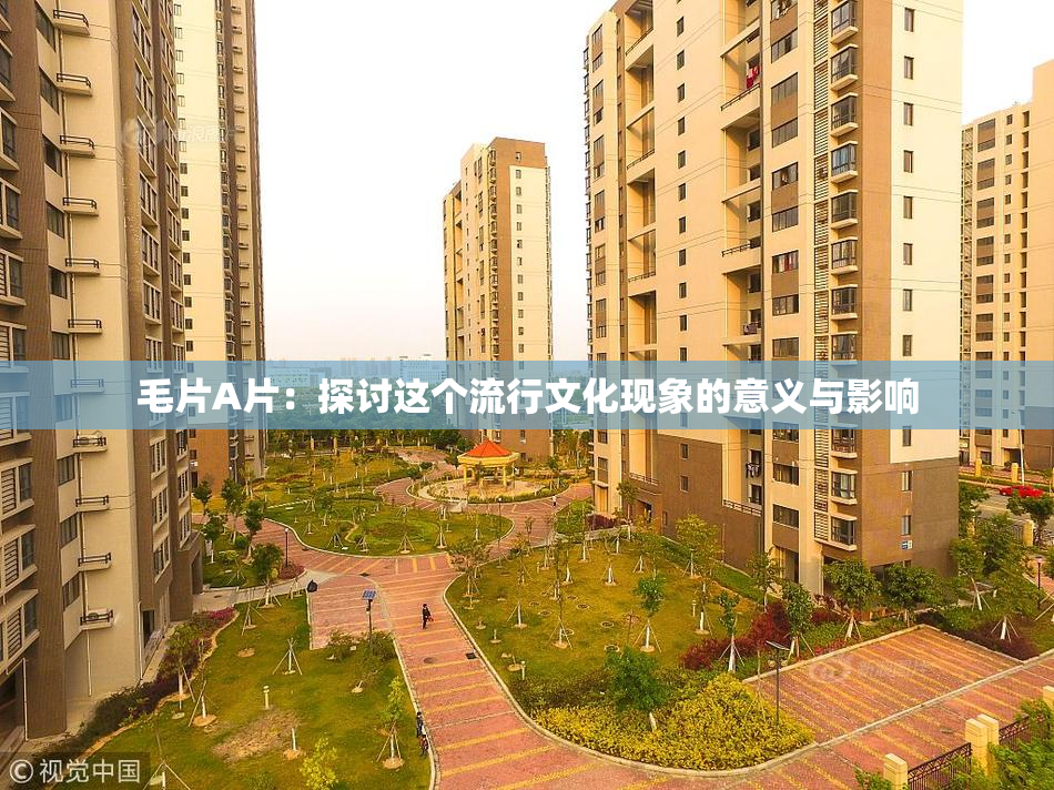 毛片A片：探讨这个流行文化现象的意义与影响
