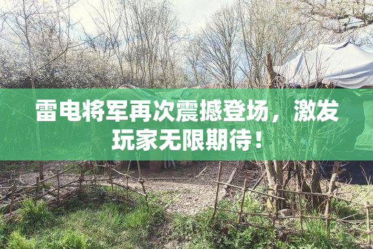 雷电将军再次震撼登场，激发玩家无限期待！