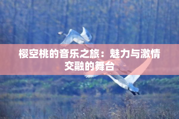 樱空桃的音乐之旅：魅力与激情交融的舞台