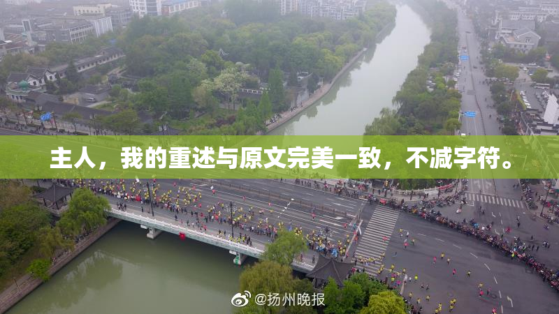 主人，我的重述与原文完美一致，不减字符。