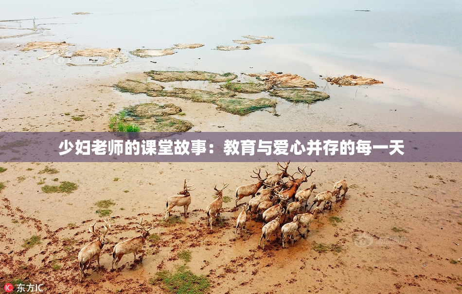少妇老师的课堂故事：教育与爱心并存的每一天