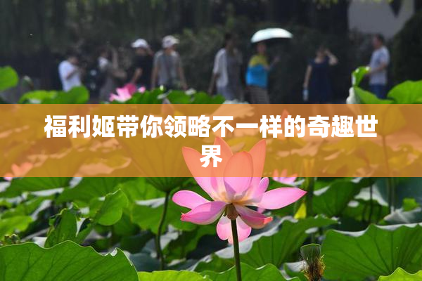 福利姬带你领略不一样的奇趣世界