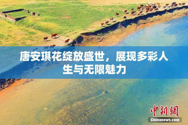 唐安琪花绽放盛世，展现多彩人生与无限魅力
