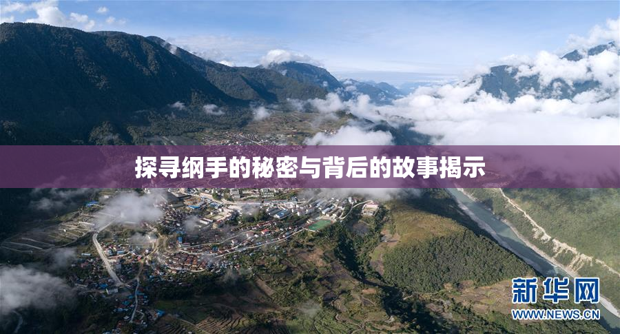 探寻纲手的秘密与背后的故事揭示