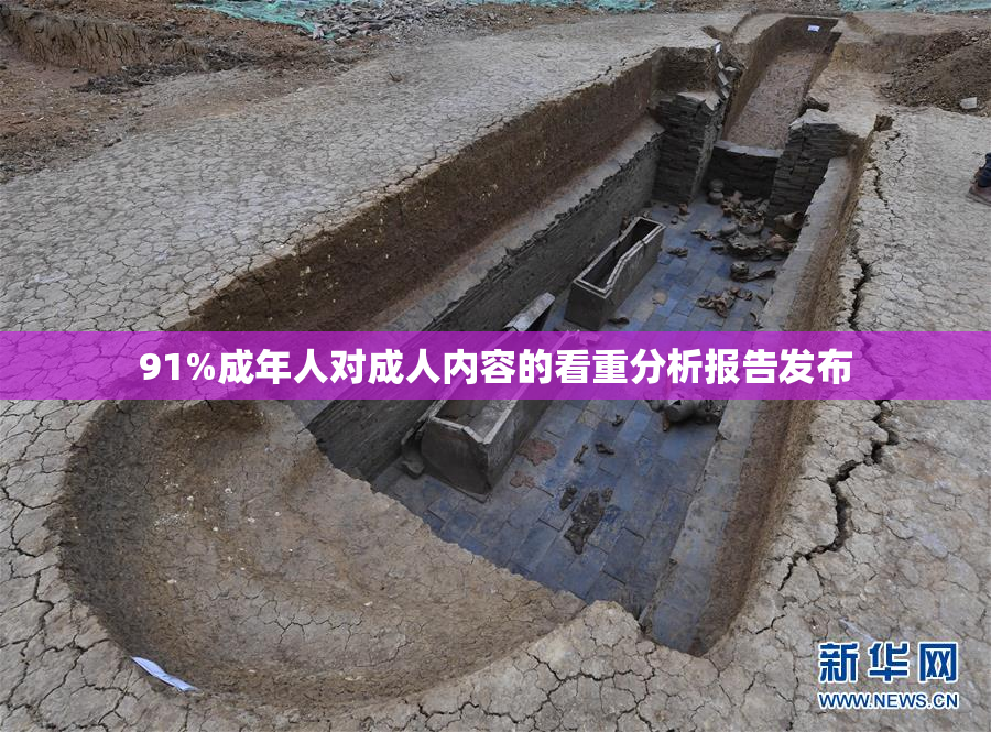 91%成年人对成人内容的看重分析报告发布