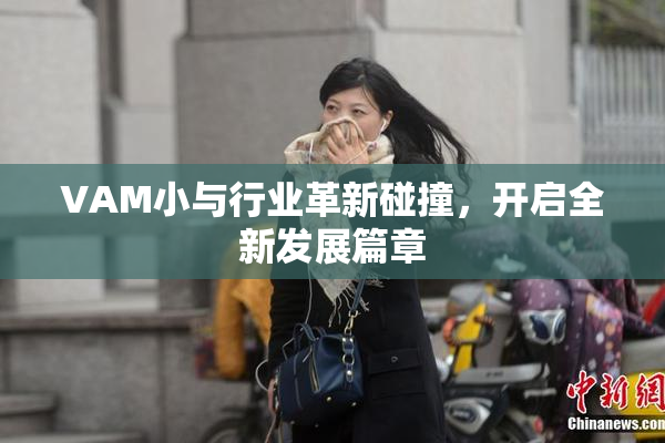 VAM小与行业革新碰撞，开启全新发展篇章