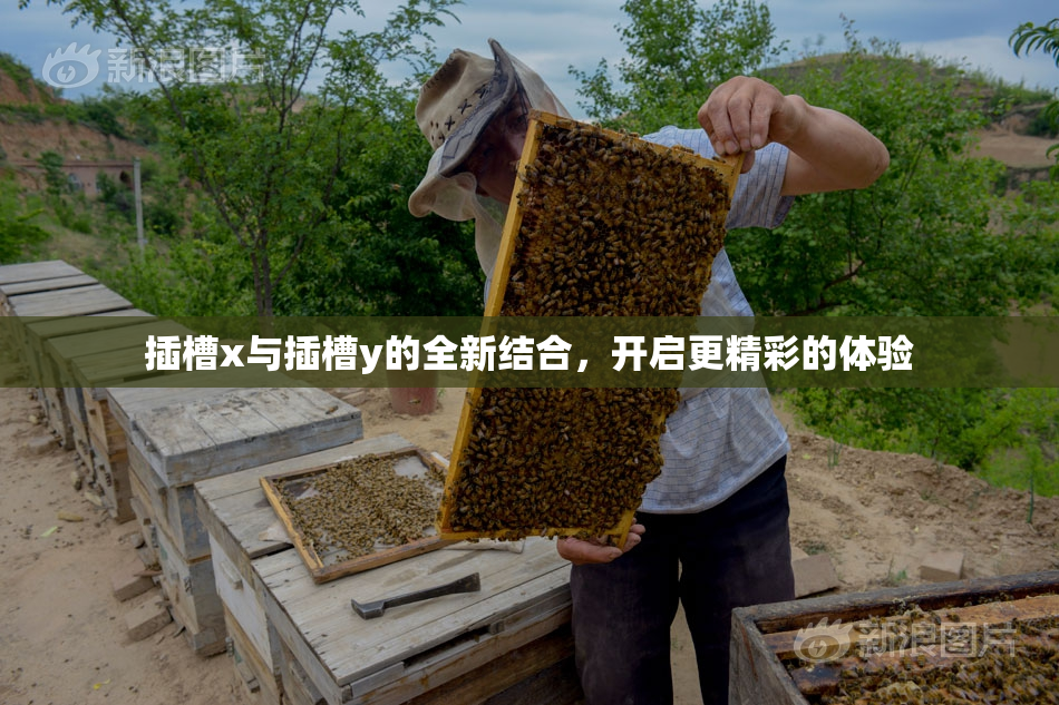 插槽x与插槽y的全新结合，开启更精彩的体验