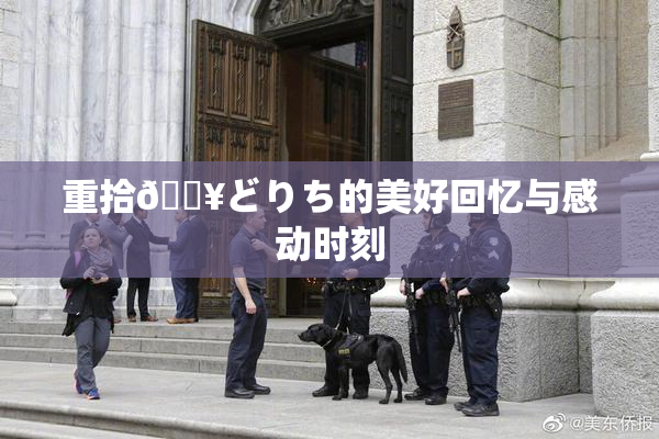 重拾🔥どりち的美好回忆与感动时刻