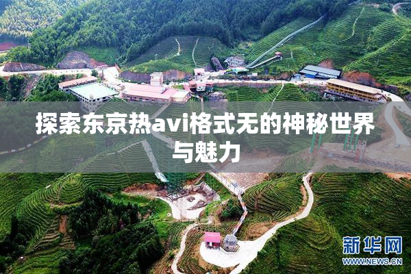 探索东京热avi格式无的神秘世界与魅力