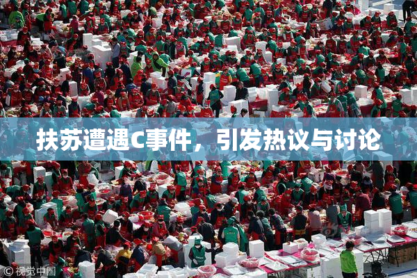 扶苏遭遇C事件，引发热议与讨论