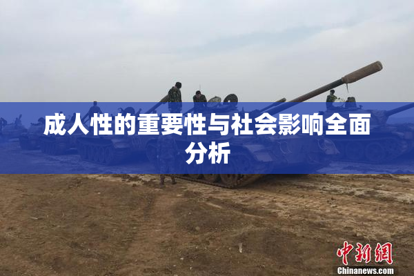 成人性的重要性与社会影响全面分析