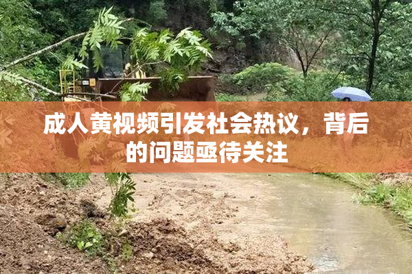 成人黄视频引发社会热议，背后的问题亟待关注