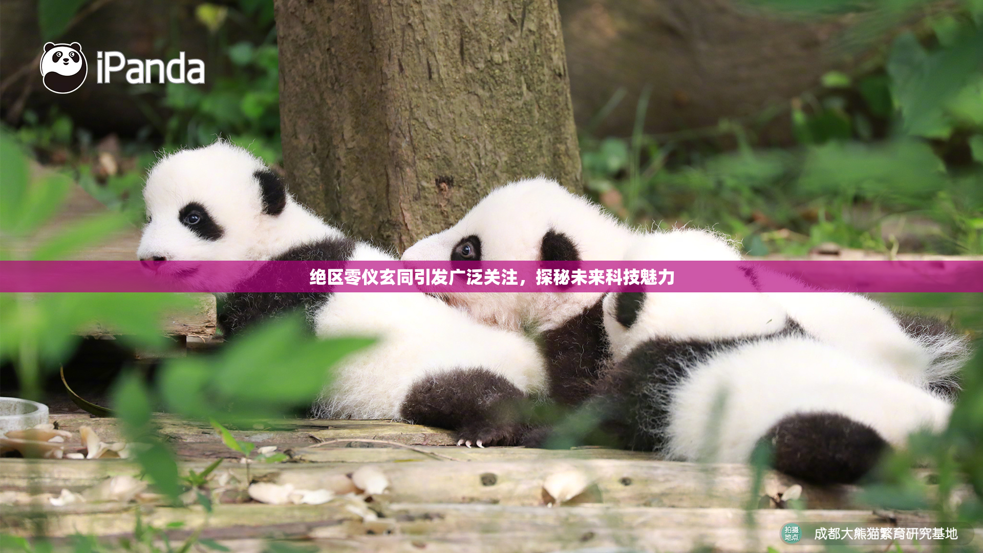 绝区零仪玄同引发广泛关注，探秘未来科技魅力
