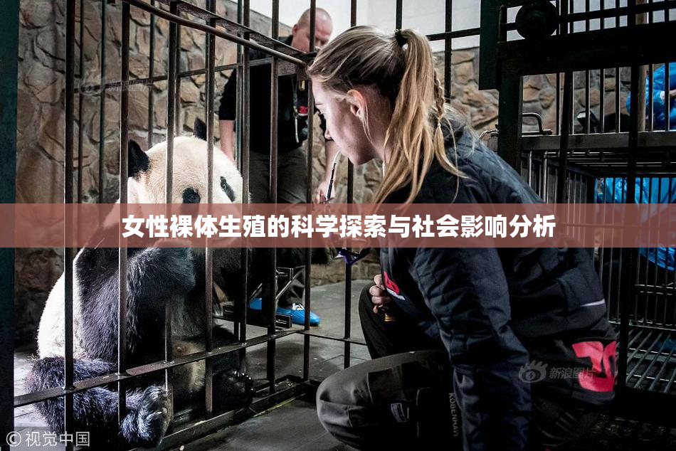 女性裸体生殖的科学探索与社会影响分析