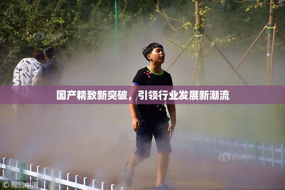 国产精致新突破，引领行业发展新潮流