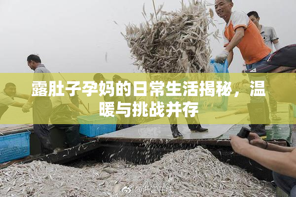 露肚子孕妈的日常生活揭秘，温暖与挑战并存