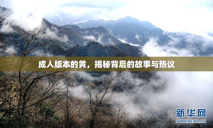 成人版本的黄，揭秘背后的故事与热议