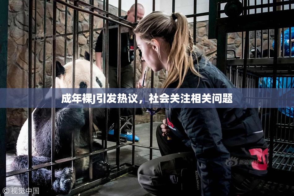 成年裸J引发热议，社会关注相关问题