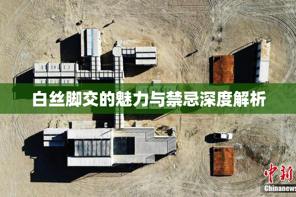 白丝脚交的魅力与禁忌深度解析