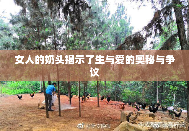 女人的奶头揭示了生与爱的奥秘与争议