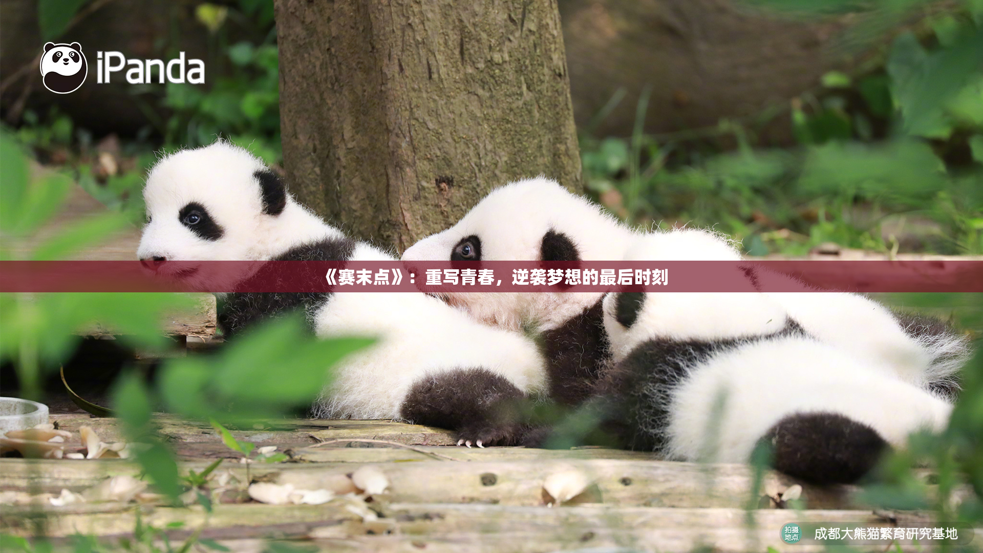 《赛末点》：重写青春，逆袭梦想的最后时刻