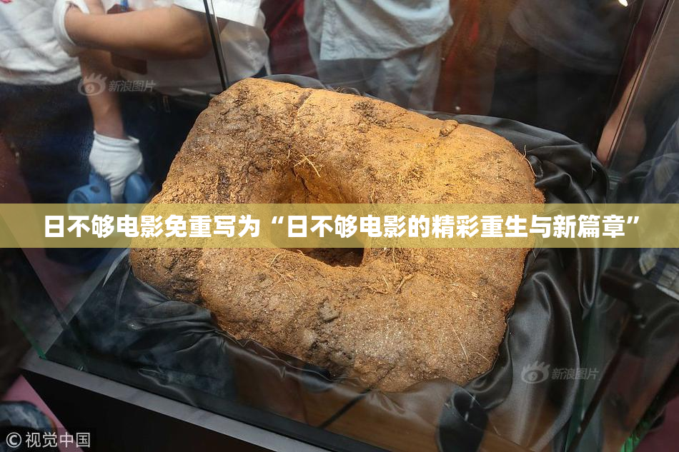 日不够电影免重写为“日不够电影的精彩重生与新篇章”
