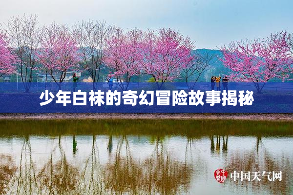 少年白袜的奇幻冒险故事揭秘