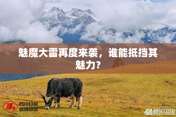 魅魔大雷再度来袭，谁能抵挡其魅力？
