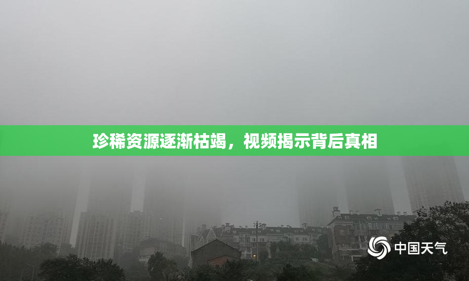 珍稀资源逐渐枯竭，视频揭示背后真相