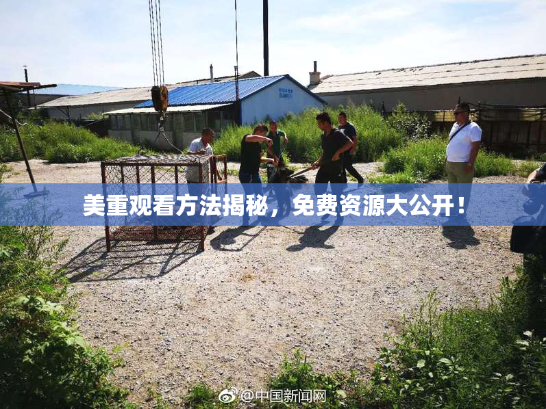 美重观看方法揭秘，免费资源大公开！