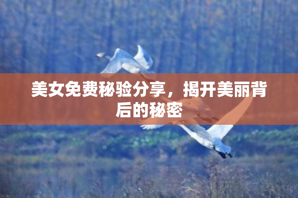 美女免费秘验分享，揭开美丽背后的秘密