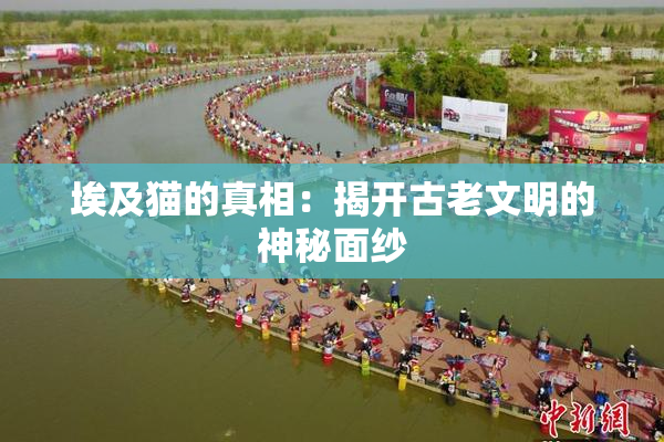 埃及猫的真相：揭开古老文明的神秘面纱