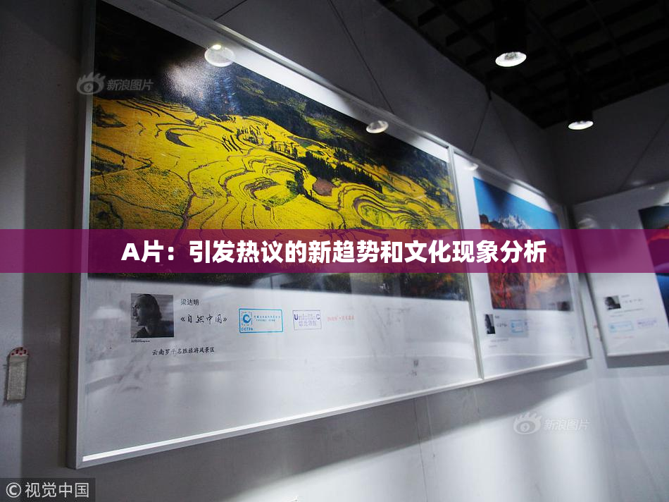 A片：引发热议的新趋势和文化现象分析