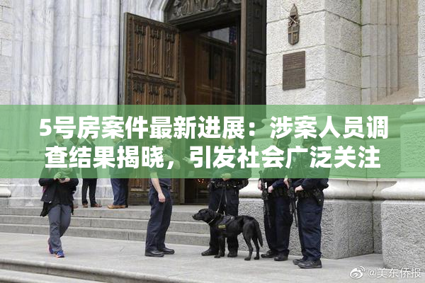 5号房案件最新进展：涉案人员调查结果揭晓，引发社会广泛关注
