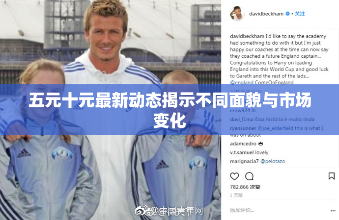 五元十元最新动态揭示不同面貌与市场变化