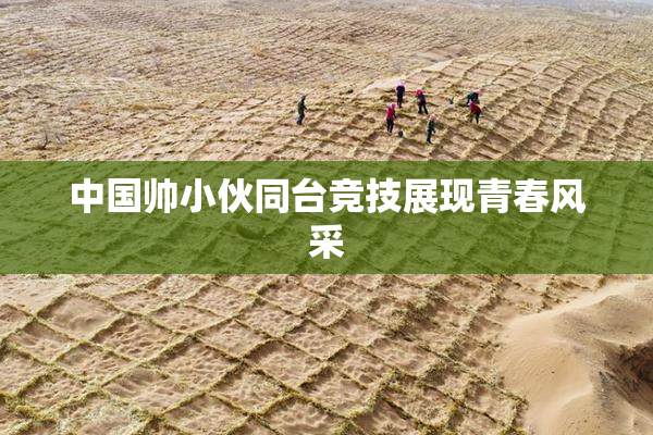 中国帅小伙同台竞技展现青春风采