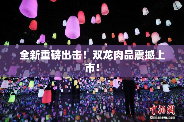 全新重磅出击！双龙肉品震撼上市！