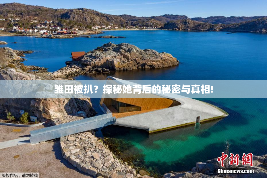 雏田被扒？探秘她背后的秘密与真相!