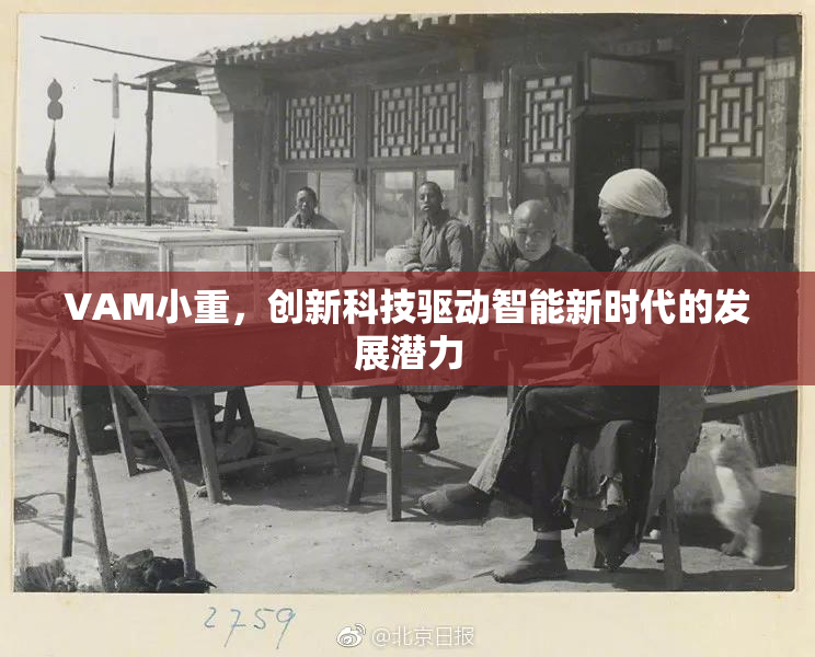 VAM小重，创新科技驱动智能新时代的发展潜力