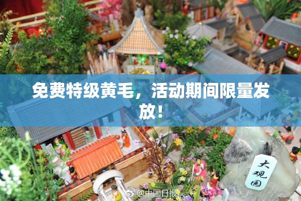 免费特级黄毛，活动期间限量发放！
